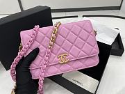 Chanel Chain Woc Pink Size 19 x 13 x 3.5 cm - 2