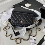 Chanel WOC Black Size 19 x 12 x 3.5 cm - 1