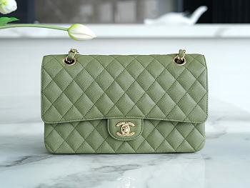 Chanel Caviar Flap Bag Green Gold Size 25 cm