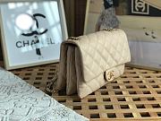 Chanel Chain Bag Beige Size 16 x 25 x 10 cm - 5