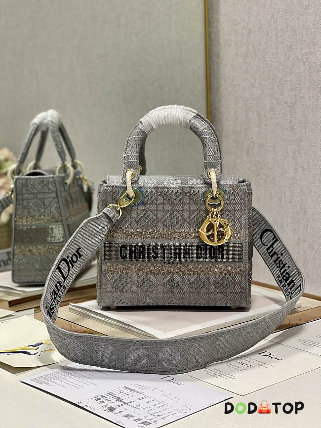 Dior D-Lite Bag Gray Size 24 x 20 x 11 cm - 1