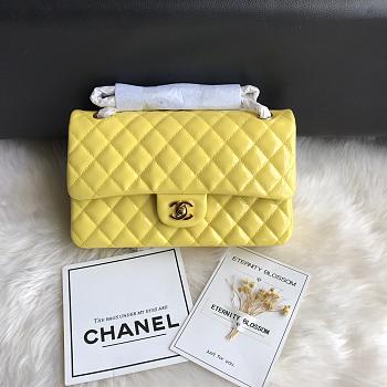 Chanel Shinny Leather Medium Classic Flap Bag Yellow Size 25 cm
