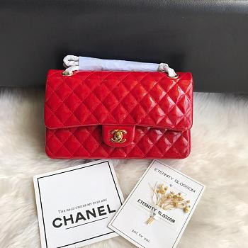 Chanel Shinny Leather Medium Classic Flap Bag Red Size 25 cm