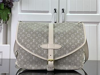 Louis Vuitton Saumur Grey Handbag Size 30 x 20 x 10 cm