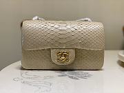 Chanel Flap Bag Python Beige Size 20 cm - 1