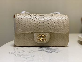 Chanel Flap Bag Python Beige Size 20 cm