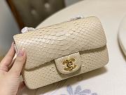 Chanel Flap Bag Python Beige Size 20 cm - 4
