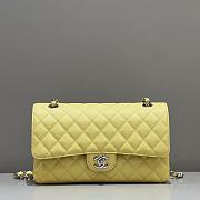 Chanel Flap Bag Caviar Silver Yellow Size 25 cm - 1