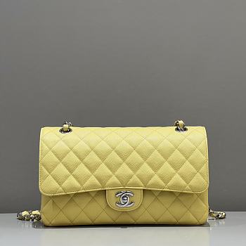 Chanel Flap Bag Caviar Silver Yellow Size 25 cm