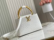 Louis Vuitton LV Capucines Ostrich Pattern Handbag White Size 27 x 18 x 9 cm - 1