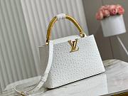Louis Vuitton LV Capucines Ostrich Pattern Handbag White Size 31.5 x 20 x 11 cm - 1
