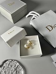 Dior Earrings 06 - 5