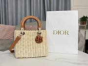 Lady Dior Rattan Basket Bag Brown Size 24 × 20 × 11 cm - 1