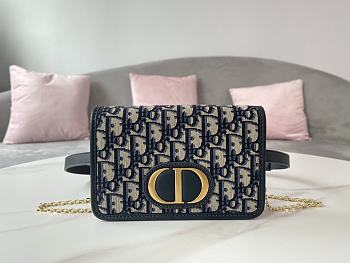 Dior 30 Montaigne Waist Bag Size 19 x 12.5 x 4 cm
