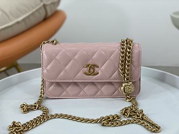 Chanel WOC Chain Bag Golden Flower Pink Size 17 cm