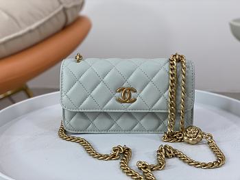 Chanel WOC Chain Bag Golden Flower Light Blue Size 17 cm