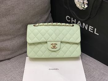 Chanel Flap Bag Caviar Green Gold Hardware Size 23 cm