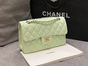 Chanel Flap Bag Caviar Green Gold Hardware Size 23 cm - 5