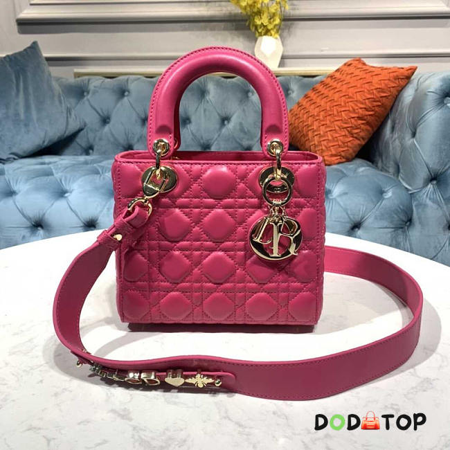 Dior Lady ABC Hot Pink Size 20 x 8.5 x 17 cm - 1