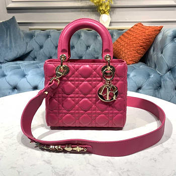 Dior Lady ABC Hot Pink Size 20 x 8.5 x 17 cm