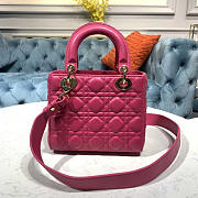 Dior Lady ABC Hot Pink Size 20 x 8.5 x 17 cm - 3