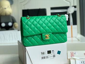 Chanel Flap Shoulder Bag Lambskin Leather A1112 Green Size 25 x 16 x 7 cm