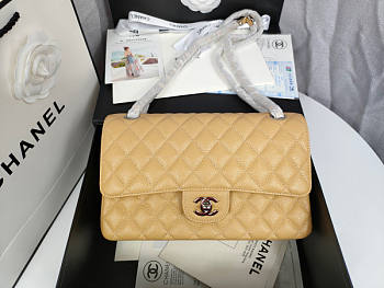 Chanel Caviar Flap Bag in Beige Silver Hardware Size 25 cm