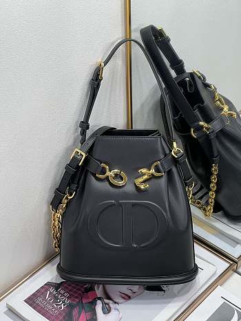 Dior Medium C'est Dior Bucket Bag Black Size 24 cm