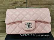 Chanel Flap Bag Smooth Leather Silver Hardware Pink Size 20 cm - 1
