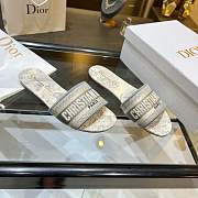Dior Dway Slides Grey - 1