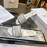 Dior Dway Slides Grey - 5