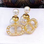 Dior Earrings 10 - 4