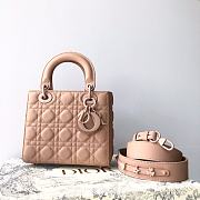 Dior Lady ABC Nude Pink Bag Size 20 x 17 x 8 cm - 1