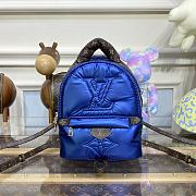 Louis Vuitton LV M21060 Pillow Palm Springs Mini Backpack Size 17 x 22 x 10 cm - 1