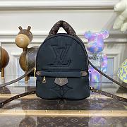 Louis Vuitton LV M21060 Black Pillow Palm Springs Mini Backpack Size 17 x 22 x 10 cm - 1
