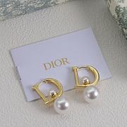 Dior Earrings 08 Silver/Gold - 2