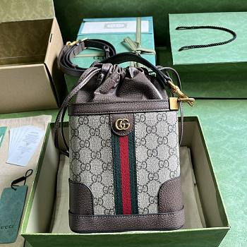 Gucci Ophidia GG Bucket Bag Size 18 x 16 x 5 cm