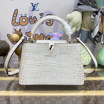 Louis Vuitton LV Capucines Small Handbag M48865 Size 27 x 18 x 9 cm