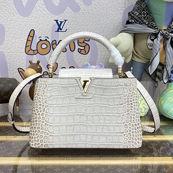 Louis Vuitton LV Capucines Medium Handbag M48865 Size 31 x 21 x 11 cm