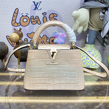 Louis Vuitton LV Capucines Mini Handbag M48865 Pink Size 21 x 14 x 8 cm