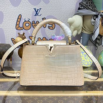 Louis Vuitton LV Capucines Small Handbag M48865 Pink Size 27 x 18 x 9 cm