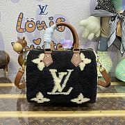 Louis Vuitton Bandouliere Teddy Speedy Shoulder Bag 25 Limited Size 25 x 14 x 19 cm - 2