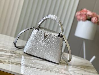 Louis Vuitton LV Capucines Ostrich Pattern Handbag M95393 Size 21 x 14 x 8 cm