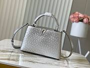 Louis Vuitton LV Capucines Ostrich Pattern Handbag M95393 Size 27 x 18 x 9 cm - 1