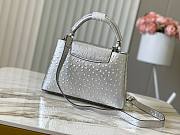 Louis Vuitton LV Capucines Ostrich Pattern Handbag M95393 Size 27 x 18 x 9 cm - 5