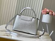 Louis Vuitton LV Capucines Ostrich Pattern Handbag M95393 Size 31.5 x 20 x 11 cm - 4