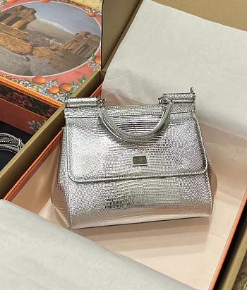 Dolce & Gabbana Kim Sicily Handbag Silver Size 20 x 16 x 8 cm
