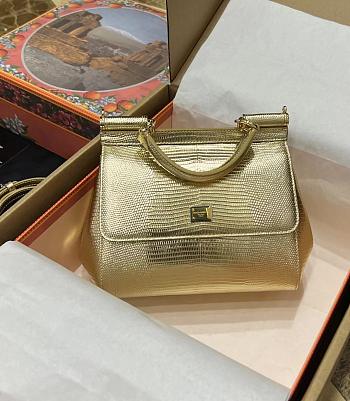 Dolce & Gabbana Kim Sicily Handbag Gold Size 20 x 16 x 8 cm