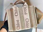 Chloe Tote Bag Small With Strap Size 26.5 x 20 x 8 cm - 2