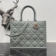 Dior Saddle Shoulder Pouch Grey Size 36 cm - 1